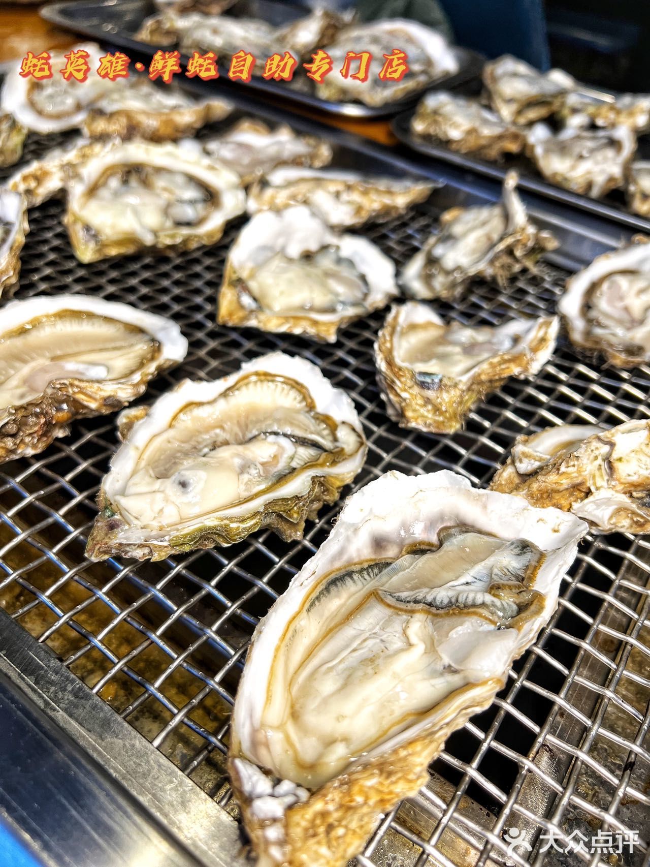 北京📍这一站生蚝自由时刻来到房山