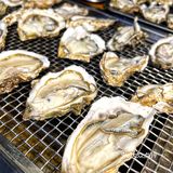 北京📍这一站生蚝自由时刻来到房山