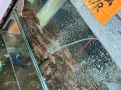 -崖口煲仔饭