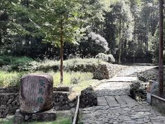 -仙霞关景区