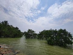 -宝安西湾红树林湿地公园