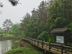 -黄陂区野村谷景区