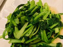 -阿英煲(凉城路店)