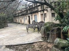 -南昌动物园
