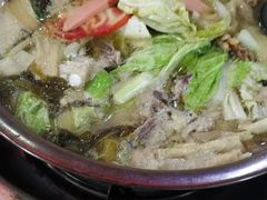 -陈记泸州酸菜豆花火锅(建设路店)
