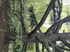 -钓鱼台国宾馆