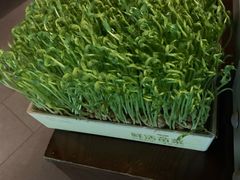 活豆苗-湊湊火锅·茶憩(上海合生汇店)