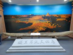 -巴音郭楞蒙古自治州博物馆