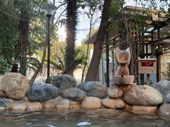 -张家港金凤凰度假村温泉