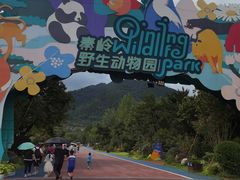 -西安秦岭野生动物园