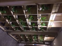 iphone_upload_pic-正清和·推拿养生(黑石礁中心店)