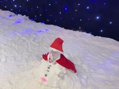 -宁波冰雪大世界(北仑区)