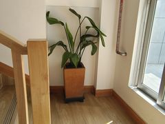 -simple hut简屋咖啡