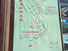 -牛背梁国家森林公园