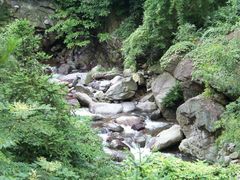 -四明山国家森林公园