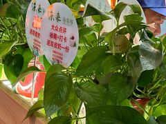 -东来土菜馆(民祥园路店)
