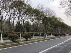 -长广溪湿地公园