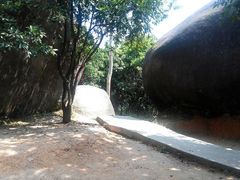 android_upload_pic-火炉山森林公园
