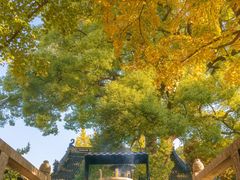 -苏州吴中太湖旅游区