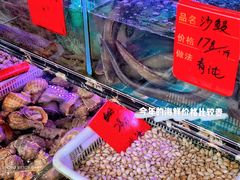 水产区-金海湾海鲜排档(朱家尖店)