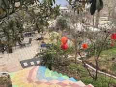 -桃源山庄·水蜜桃采摘·柴火鸡·烧烤团建(龙泉山店)