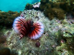 -西涌国际滨海旅游区