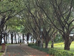 -顺峰山公园