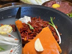 -阳阳老火锅(小南门店)
