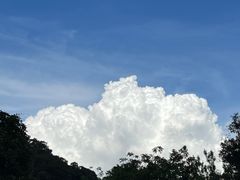 -鼎湖山风景区