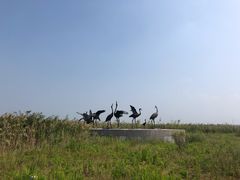 -盐城丹顶鹤湿地生态旅游区
