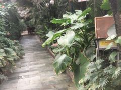 -龙达温泉生态城