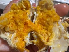 黄记阳澄湖大闸蟹-黄记大闸蟹专卖店·活蟹·醉蟹