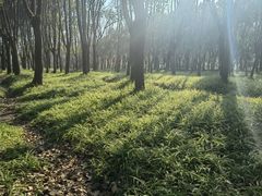 -嘉北郊野公园