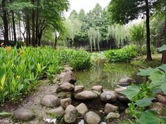 -陈家山荷花公园