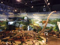 -自贡恐龙博物馆