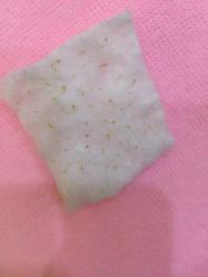 -苗方清颜专业祛痘养生