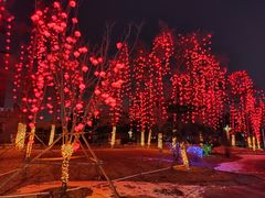 -长春市南湖公园