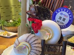 -尚海豆捞(乐虹坊店)