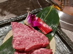-神户牛焼肉専門店 牛一(道顿堀店)