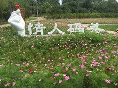 -东郊湿地公园