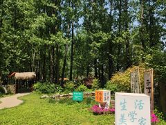 -林间山庄