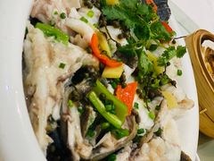 起片蒸老虎斑-新海利海鲜城·41年珠海老字号(夏湾店)