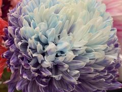 -BEAST野兽派(上海浦东嘉里城店)