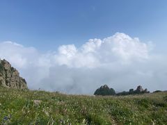 -白草畔自然风景区