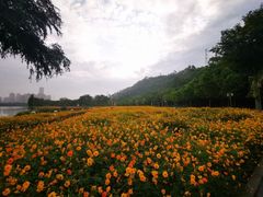 -顺峰山公园