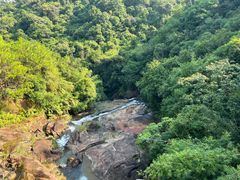 -广州白江湖森林公园