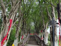 -丰都鬼城名山景区