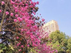 -龙头寺公园