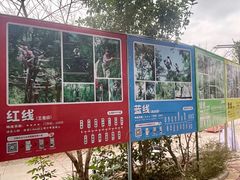 -芦仙山景区-飞越丛林探险乐园