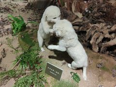 -陕西自然博物馆